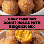 Chicken Avocado Melt Sandwich Recipe