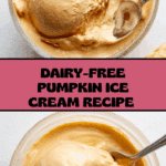 Dairy Free Ninja Creami Pumpkin Ice Cream Recipe